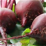 beet boom