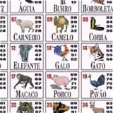 palpite do jogo do bicho french roulette